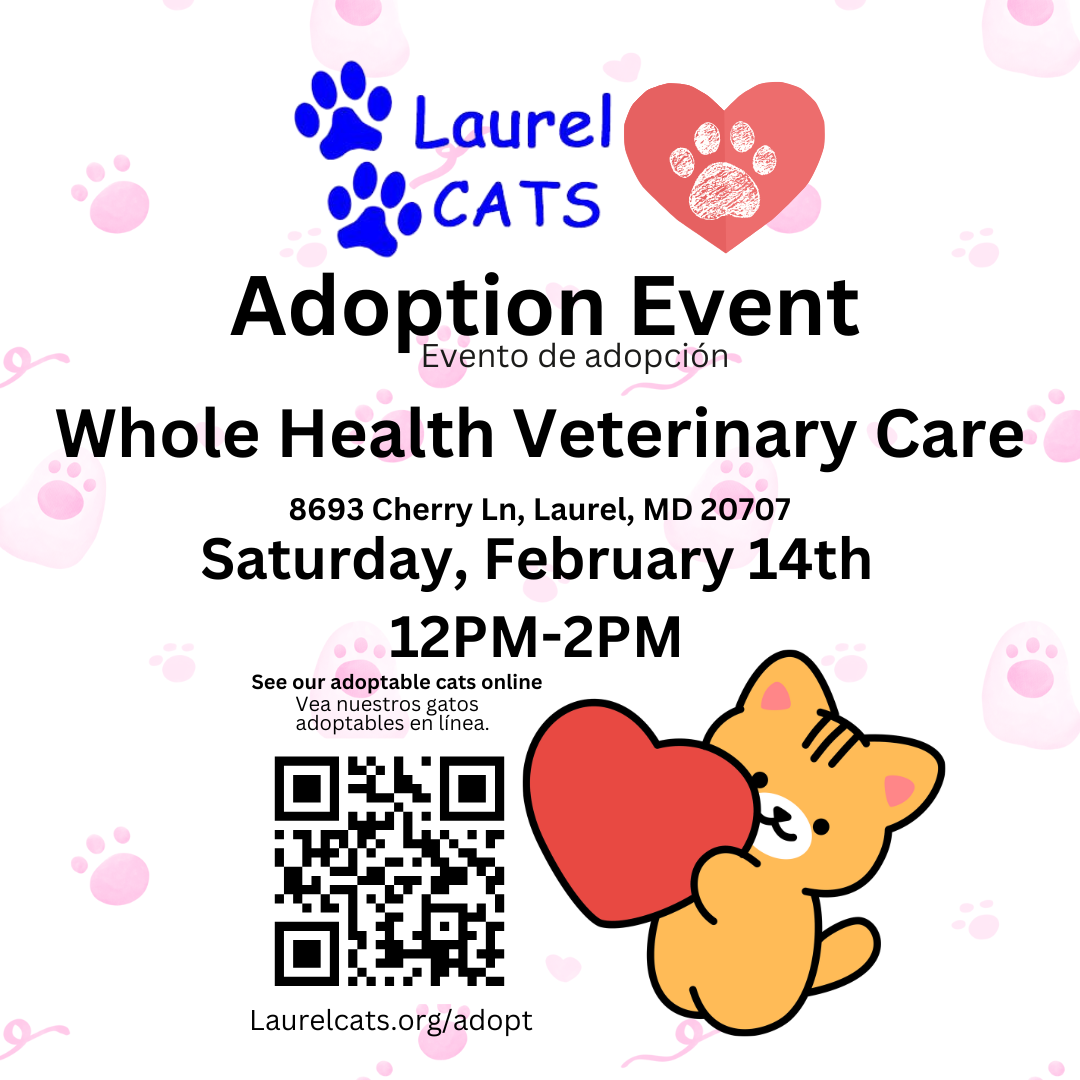 Adoption Event!